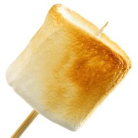 tfa-toasted-marshmallow.jpg